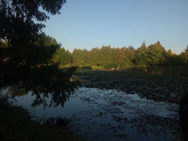 BOLESTRASZYCE (139).jpg