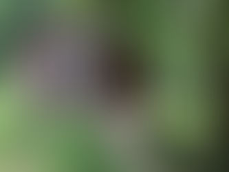 Sanok - co można zobaczyć w jeden dzień