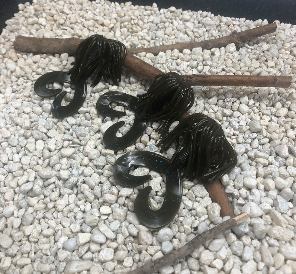 Thumbnail: 5 inch Twin Tail Spider Grub with New 3.5 inch Skirt. Bulk 50 pack