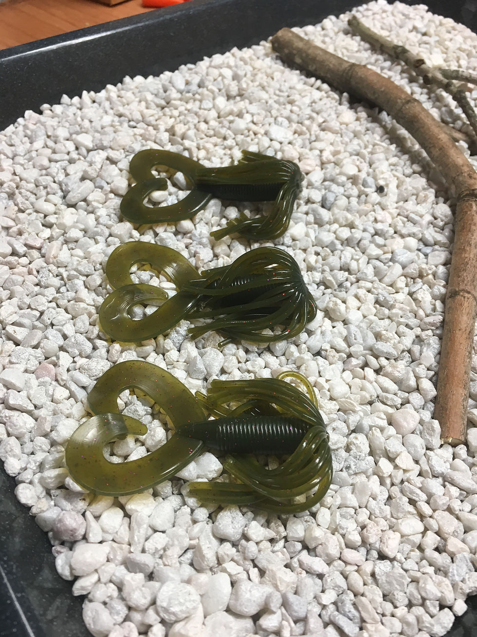 Thumbnail: Twin Tail 5 Inch Spider Grub with 3.75 inch round skirt.