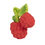 Thumbnail: VALERY THE RASPBERRY