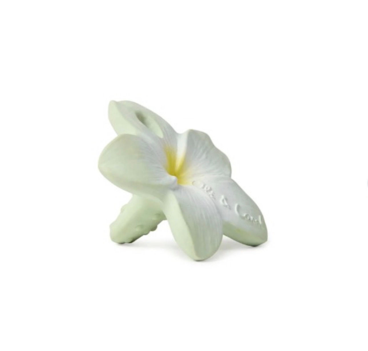 BELLA THE FLOWER