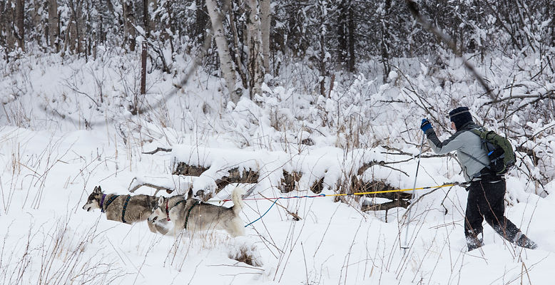 Skijorring on Campbell Tract. Photo by Bob Wick (BLM).jpg