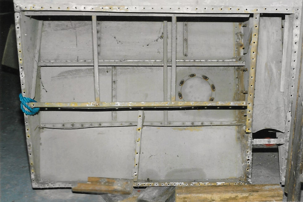 Underside of Gouge flap with plating removed