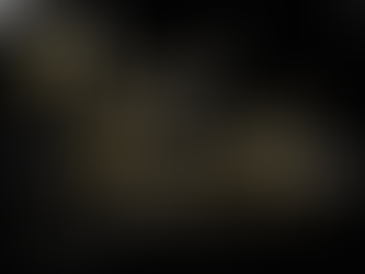 D. Plump Consulting Help Non-Profit Reach New Heights with Virtual Gala