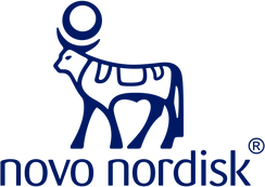 Nn_logo_rgb_blue_large (1).png