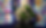 Screen Shot 2021-10-18 at 2.17.55 PM.png
