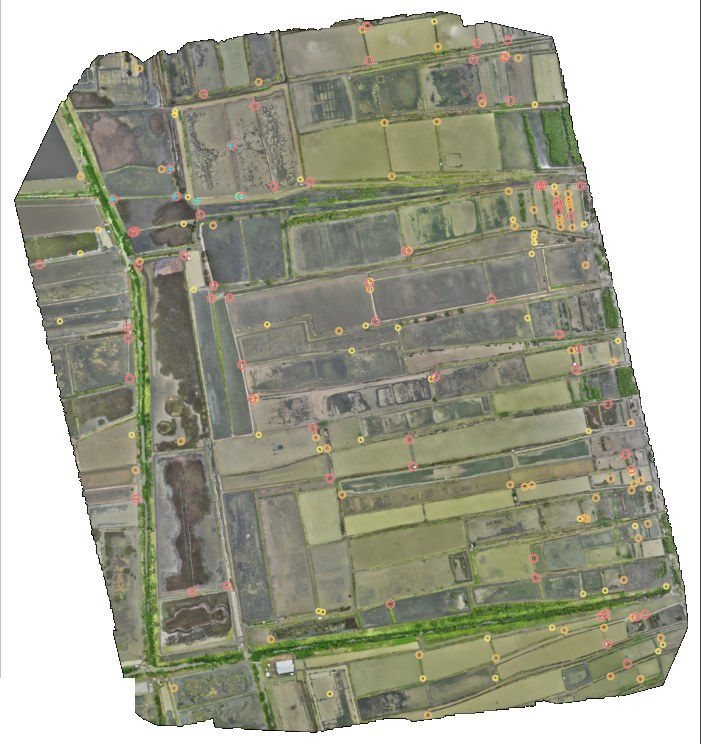 Orthophoto drone de Bungko, Cirebon, avec les ouvertures détectées entre bassins