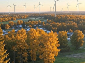 Eoliennes, panneaux photovoltaiques et crédits carbone naturels 