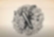 Screenshot-2024-01-11-at-12.23.33 AM.jpg
