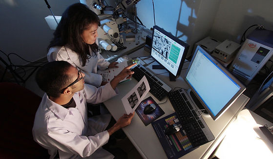 medial professionals looking at a computer