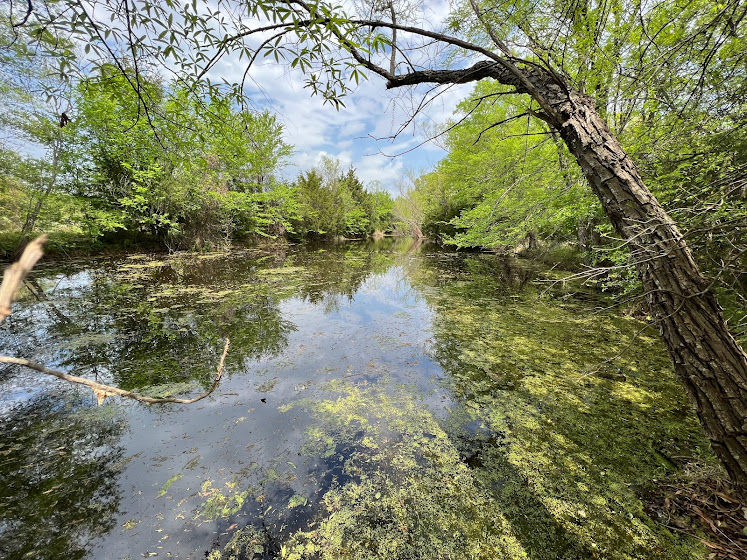 13.5 Acre Residential lot