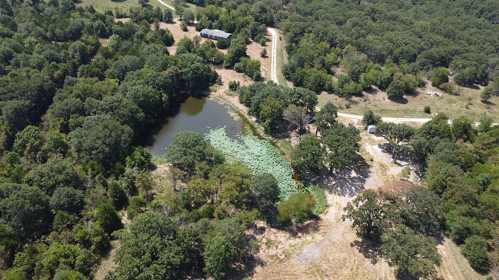 DJI_0046