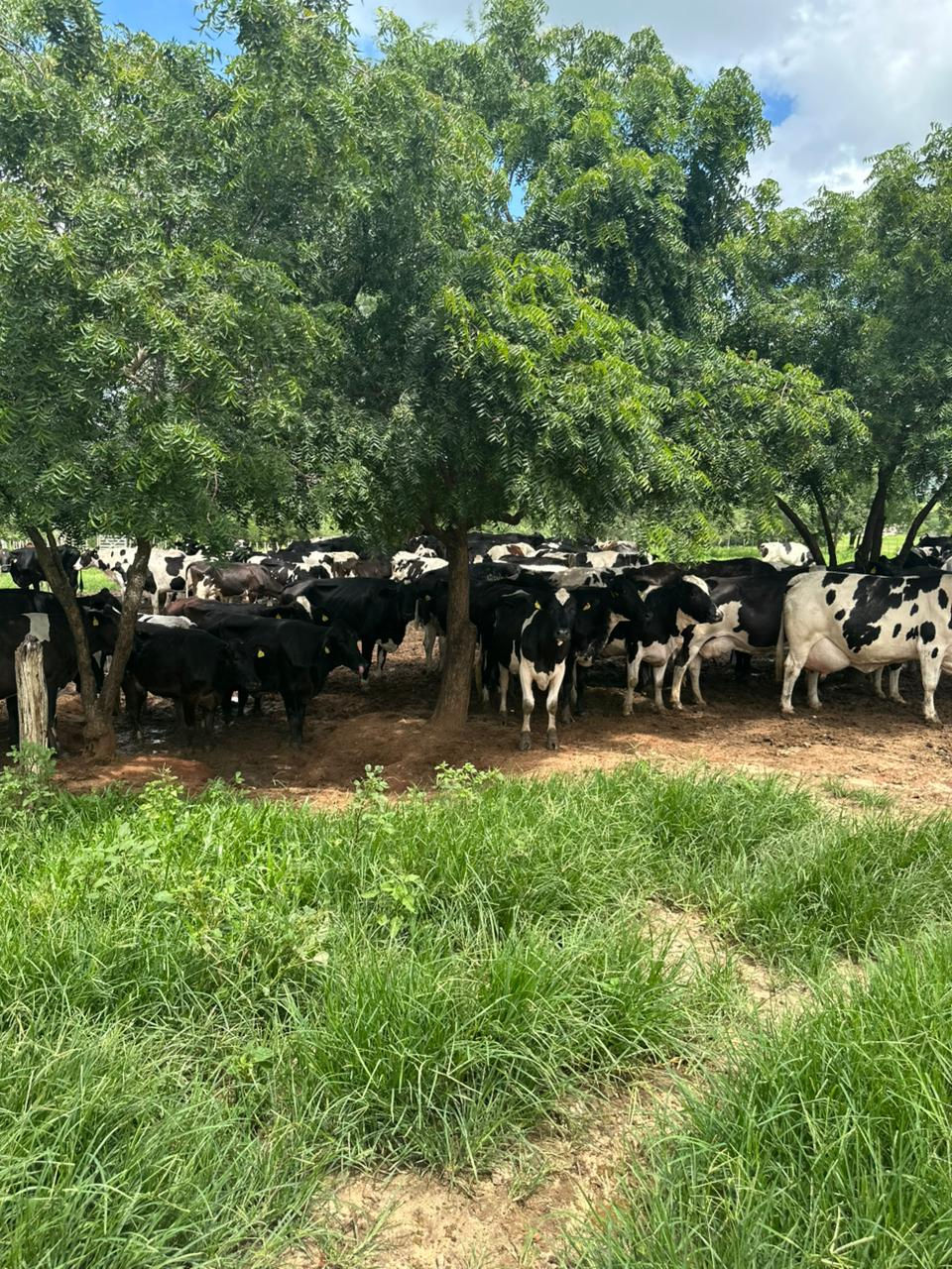 WhatsApp Image 2026-03-08 at 15.37.17 (2).jpeg