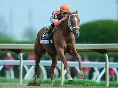 Further Ado Dominates the Blue Grass and Consolidates Gun Runner’s Power on the Road to the Kentucky Derby