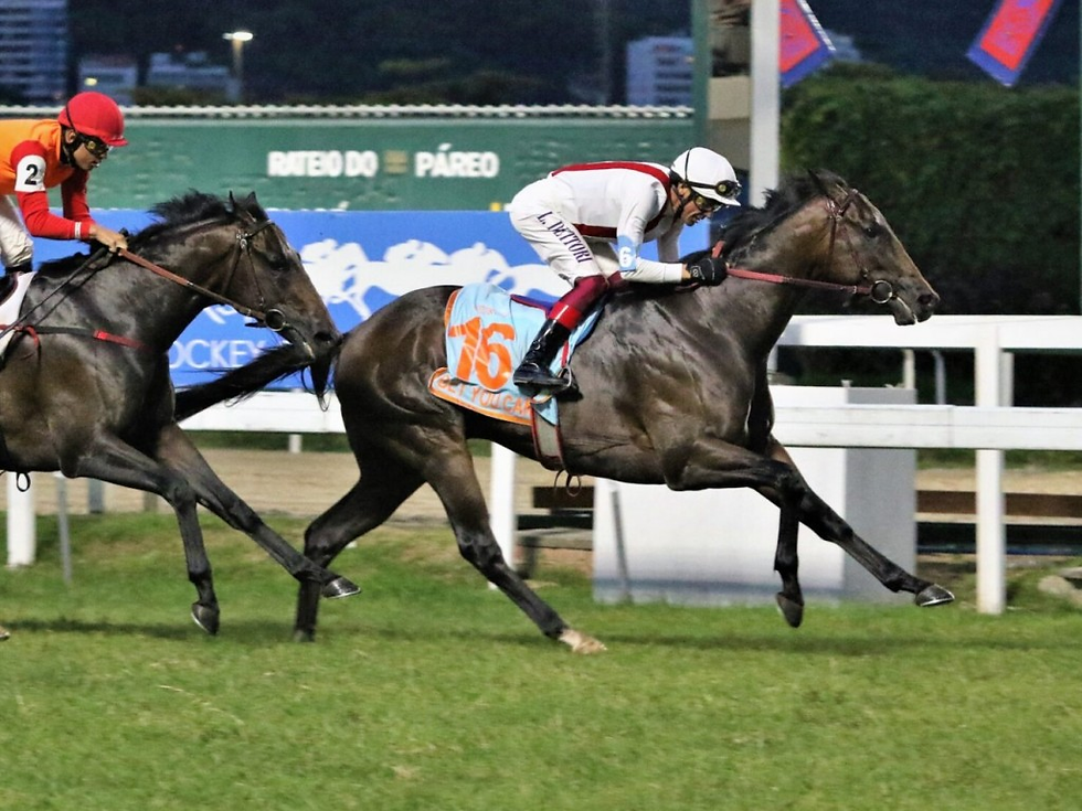 Bet You Can (Can The Man) dominates the 2022 generation in Rio de Janeiro, Brazil. // João Cotta