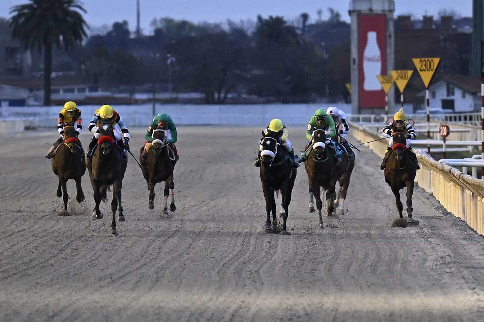 Tantan Royal (Midshipman) passing from the outside.