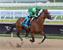 Canaletto Debuts in Prolific Fashion and Aims High