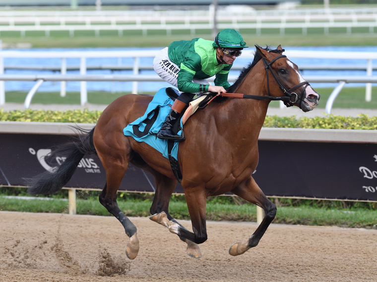 Canaletto Debuts in Prolific Fashion and Aims High