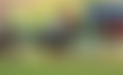 Orange Riviera won the Diana with authority and confirms Belmont’s dominance among the females of the 2022 generation