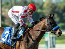 Cavalieri Wins the Zenyatta Stakes and Heads to the Breeders’ Cup Distaff Undefeated