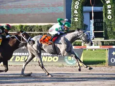Butterfing is maturing and becoming the new leader in Argentina after winning the Gran Premio de Honor