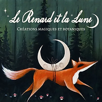 le renard et la lune.png
