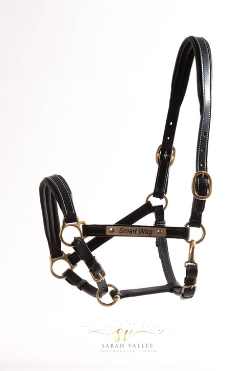 Bridon en cuir Packshoot licol Smart Wag