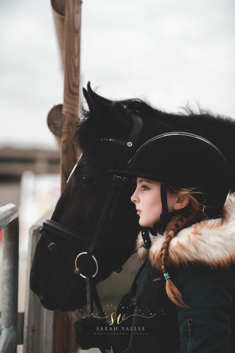 Photographe pro chevaux