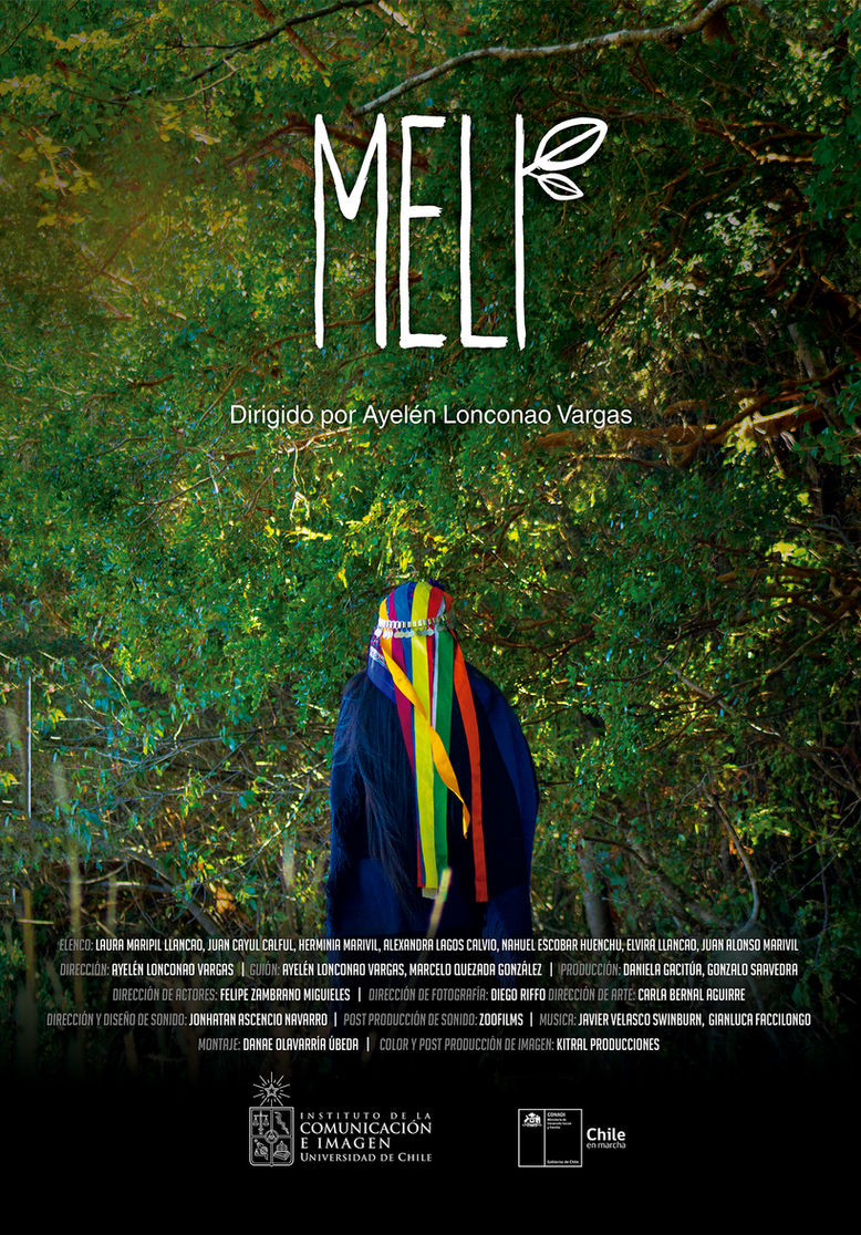 Melisa es una joven mapuche que a corta edad emigró junto con su familia desde su lof mapu a la ciudad, en busca de mejores condiciones de vida. Ya adulta y pronta a finalizar sus estudios universitarios, comienza a experimentar situaciones y sueños inexplicables… ha recibido un llamado ancestral.
