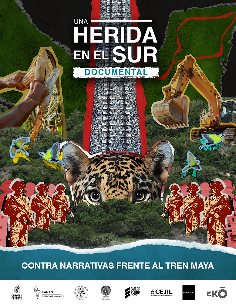 UNA HERIDA EN EL SUR es una historia cuyo protagonista no es el Tren Maya, sino la transformación de un territorio vivo: la península de Yucatán. Es, también, la historia de resistencia de quienes desafían el racismo, el saqueo, la militarización y el olvido y, en cambio, apuestan por los montes, por las aguas y por la vida. 