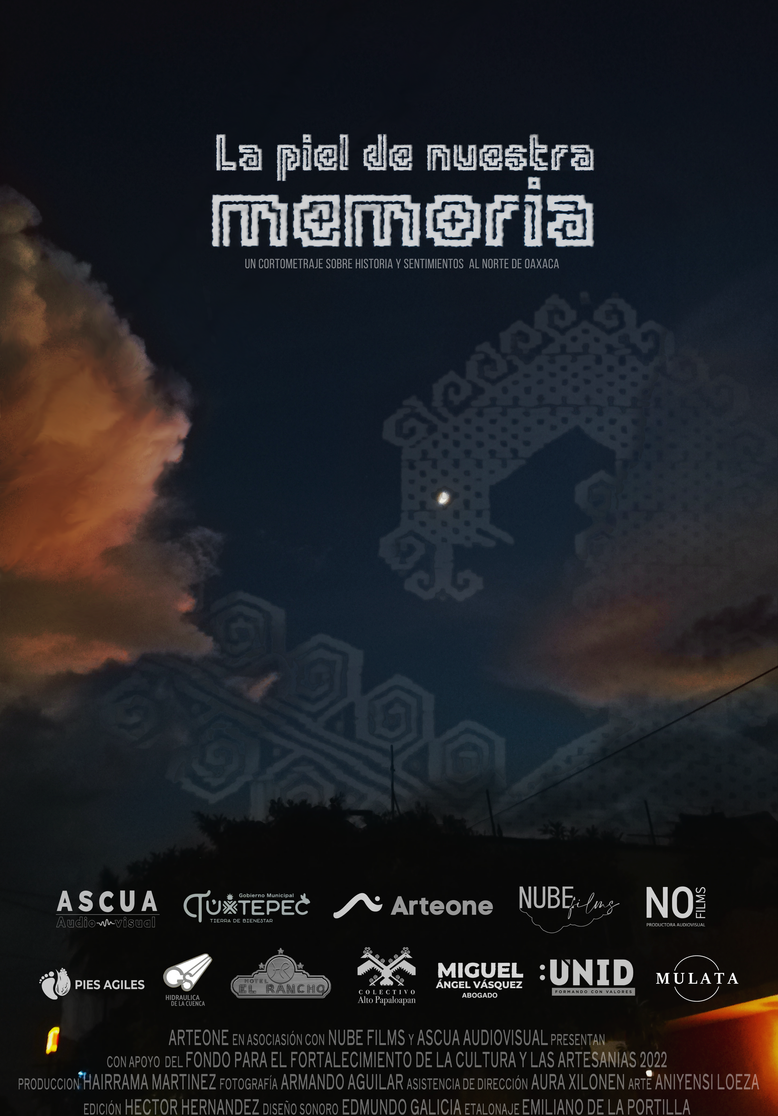 La Piel de Nuestra Memoria es una obra audiovisual que explora la conexión entre la identidad, la memoria y la espiritualidad a través de la cultura chinanteca. La narrativa sigue un viaje simbólico a través de la selva chinanteca, donde se entrelazan elementos de la naturaleza, la mitología y la vida cotidiana.