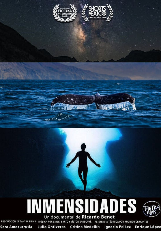 INMENSIDADES relata el viaje creativo de tres fotógrafos aventureros que unen sus visiones para compartir con la audiencia la inmensidad en su totalidad.
En esta odisea, estos tres amigos atraviesan mares, dunas, tienen encuentros con animales marinos y llegan a un oasis oculto en las montañas desérticas de Comondú, donde pinturas rupestres, piedras milenarias y cielos estrellados los conectan con el origen de la vida.