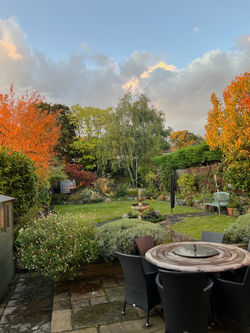 planting for autumn colour