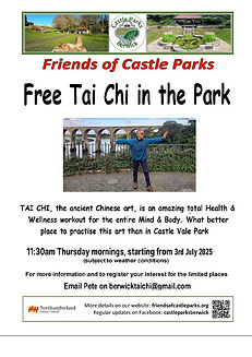 Tai chi 2025.jpg
