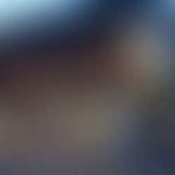 Décoration de Noël en façade de commerce