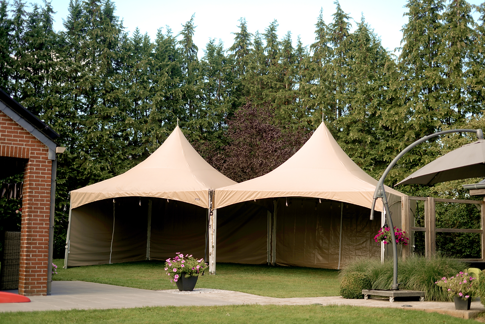 Capture d’écran 2026-01-30 125401.png