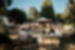 IMG_5878 (1).jpeg