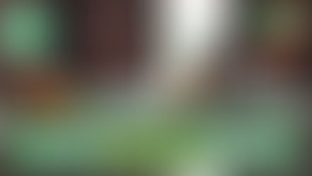 寵物都可以點光明燈？2026 年超火熱「毛孩平安燈」潮流 台灣、香港廟宇攻略 保佑主子健康食得走得！