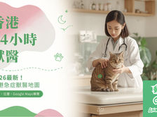 【2026最新】香港24小時獸醫一覽｜全港急症獸醫地圖、電話及Google Maps導航