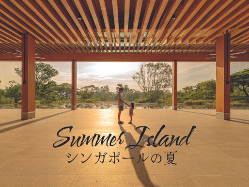 Summer Island Short Film Poster