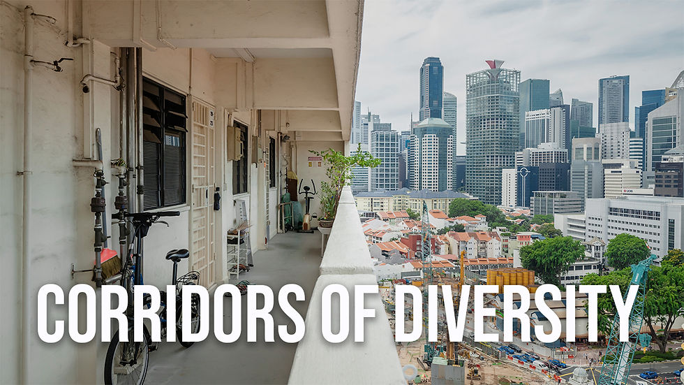 Corridors of Diversity Project: 2016-Present