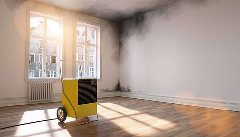 cover_Mold Removal Murfreesboro TN.jpg
