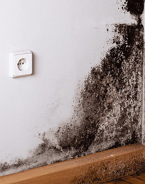 img06_Mold Removal Murfreesboro TN.jpg