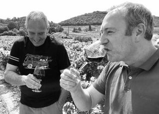 Conférence-Dégustation de vin bio