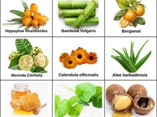 טיפוח טבעי עם CELL BY CELL: מהטבע לעור שלך