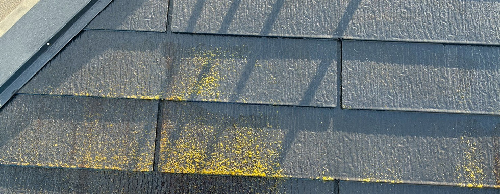 施工前屋根カビ