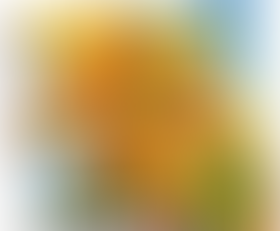 Crop:Orange Taglilie Daylilly + LE Items *May 22, 2024