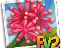 Crop: Fireball Lily + LE Items *Dec 16, 2024