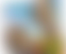 Crop: Jute Mallow Plus Le Items* Monday Dec 5,2022